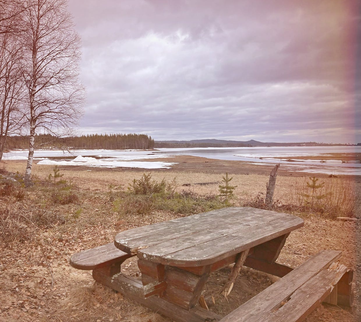 meren, meer, zweden, vakantie, picknick, sjön 