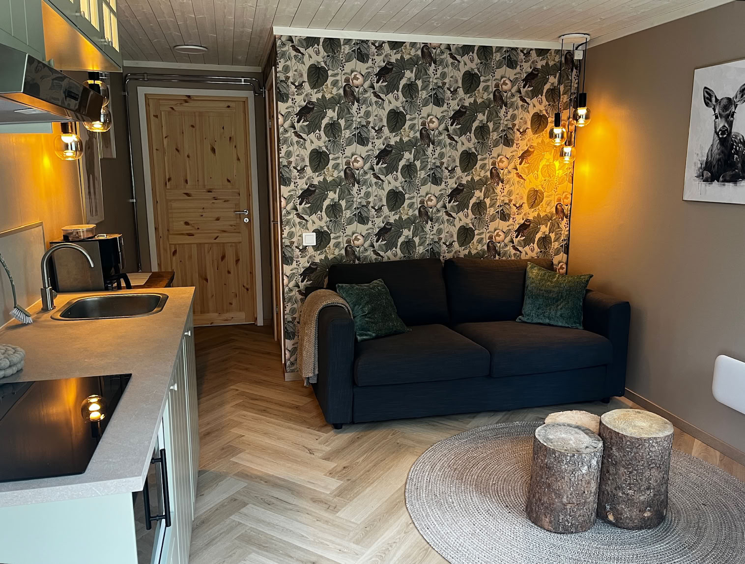 skibacka, ski piste, sneeuw, zweden, wintersport