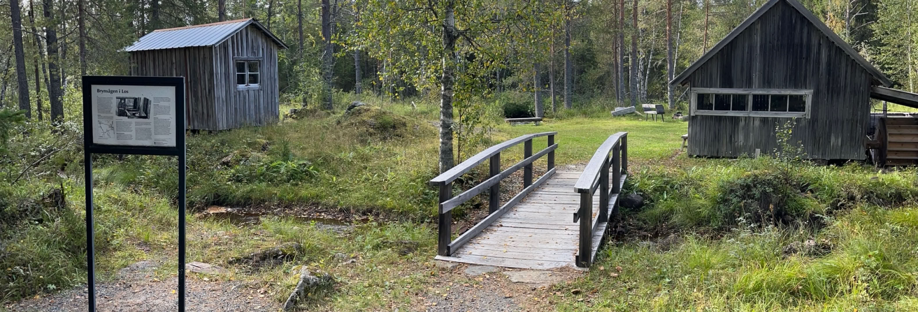 huis, hus, hem, natuur, bos, terrein, land, rust