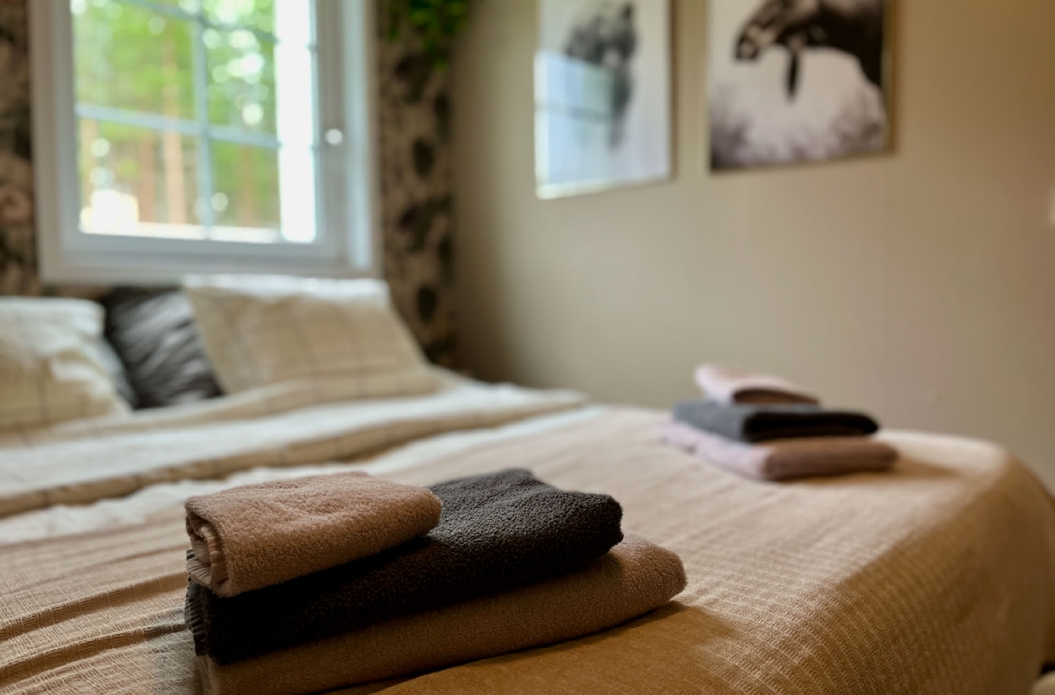 finnmarksleden, hiken, wandelpad